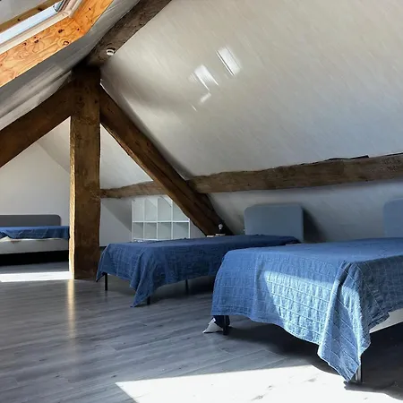 فيلة Beroye Maysou *